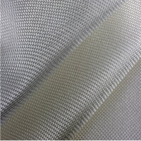 Glass Filament Fabric 50 g/m&sup2; - Plain Weave