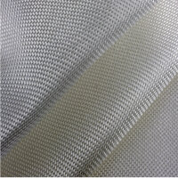 10 m² Glass Filament Fabric 163 g/m² - Plain Weave