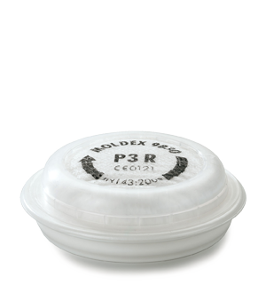 Particulate filter Moldex P2R